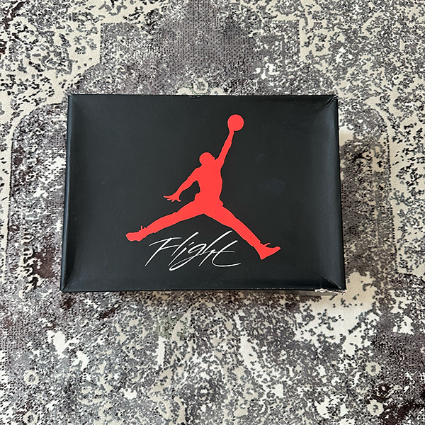 Air Jordan 4 "Frozen Moments"